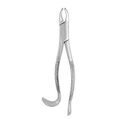 Extracting Forceps #24