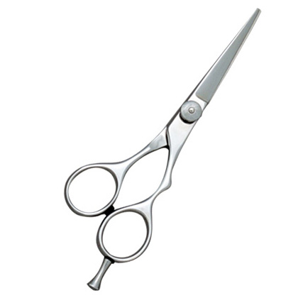 Barber Scissors