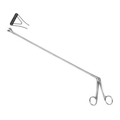 Rectal Biopsy Forceps