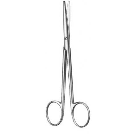 Dissecting Scissors