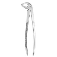 Extracting Forceps #33 - English