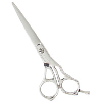 Barber Scissors